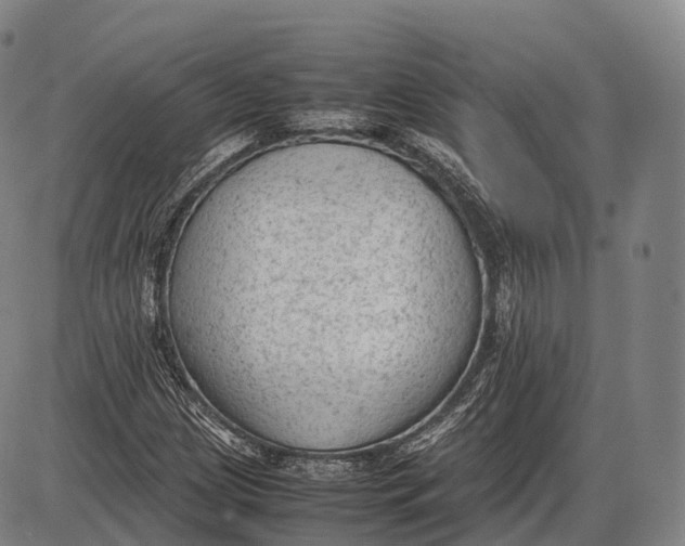 X0000085011209200703261146