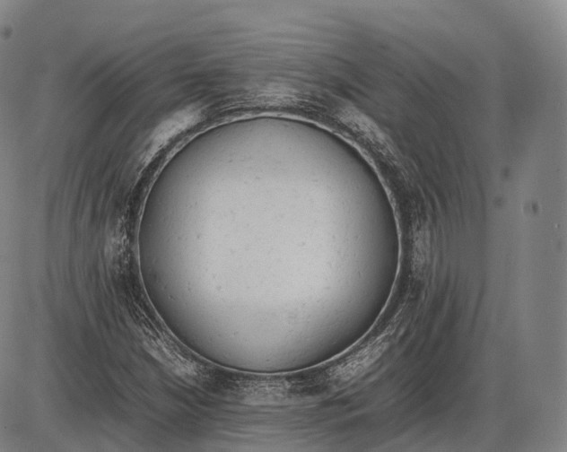 X0000085011210200703261146