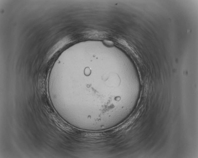 X0000085011211200703261146