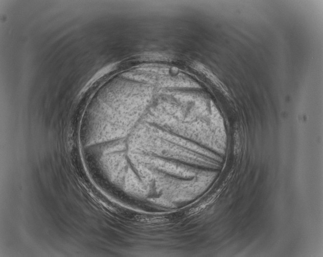 X0000085011213200703261146