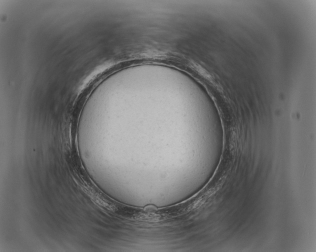 X0000085011214200703261146