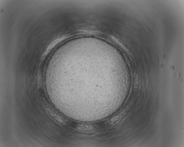 X0000085011215200703261146