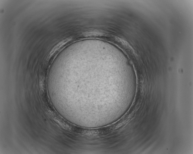 X0000085011217200703261146