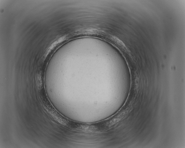 X0000085011218200703261146