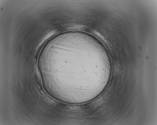 X0000085011219200703261146