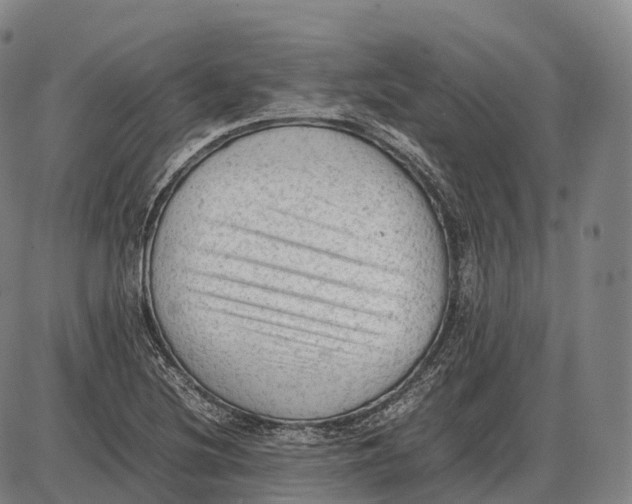 X0000085011220200703261146