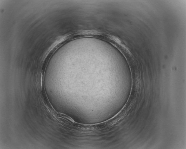 X0000085011221200703261146