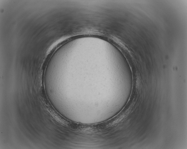 X0000085011222200703261146