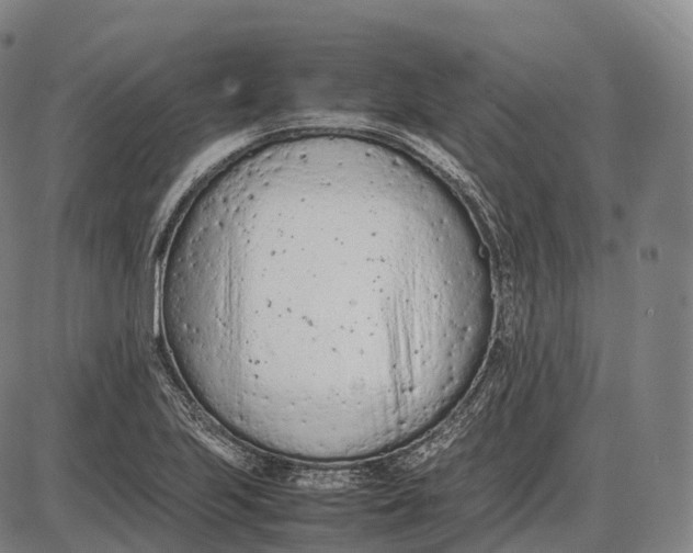 X0000085011223200703261146