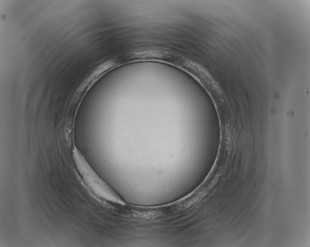 X0000085011225200703261146