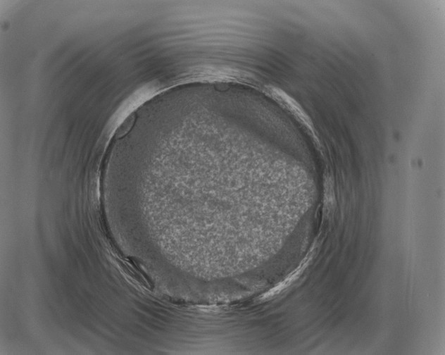 X0000085011226200703261146