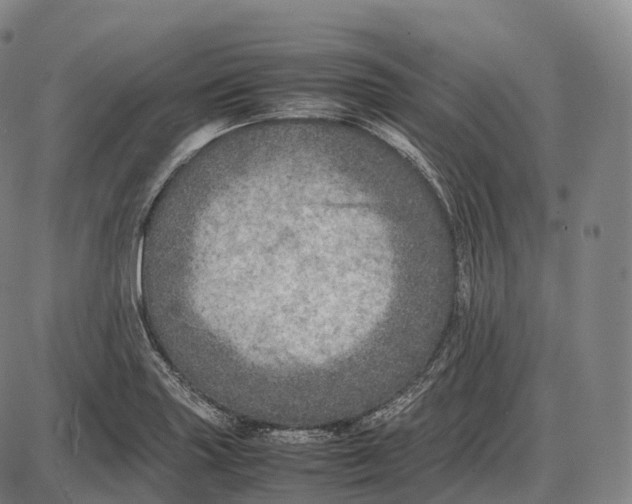 X0000085011227200703261146