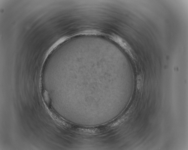 X0000085011229200703261146