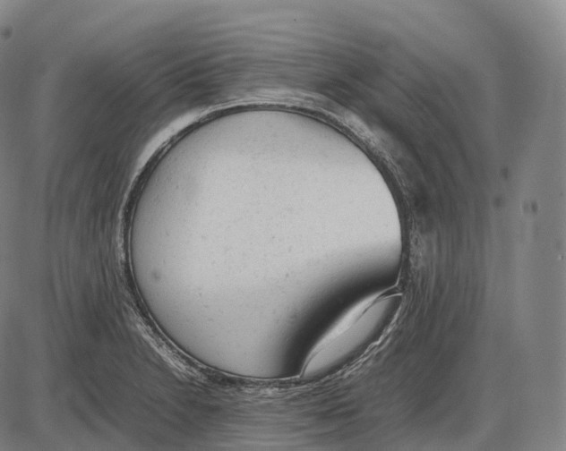 X0000085011230200703261146