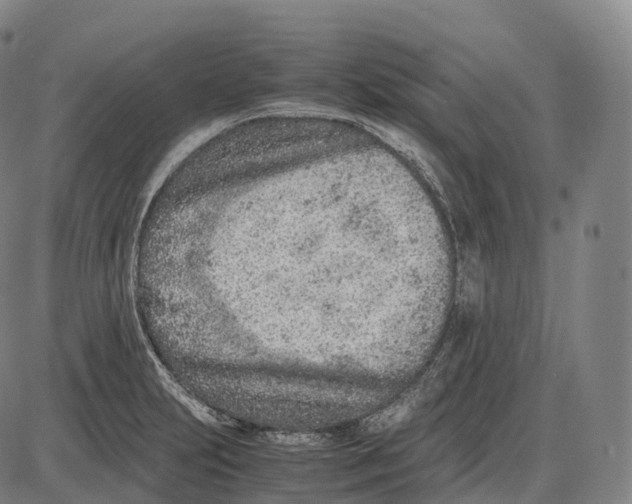 X0000085011231200703261146