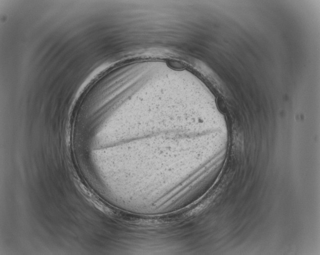 X0000085011232200703261146