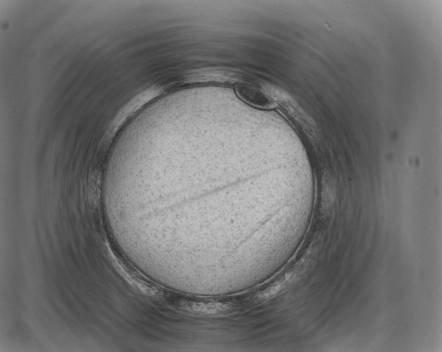 X0000085011233200703261146