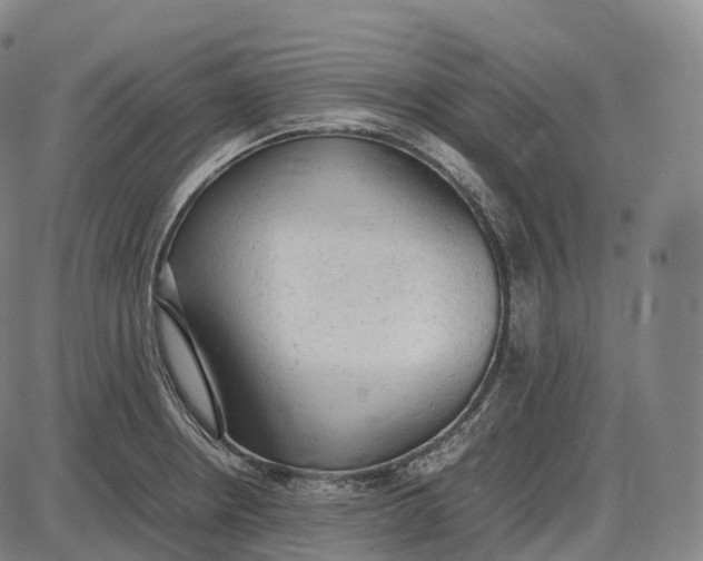 X0000085011234200703261146