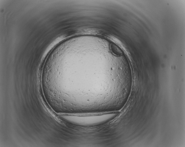 X0000085011235200703261146