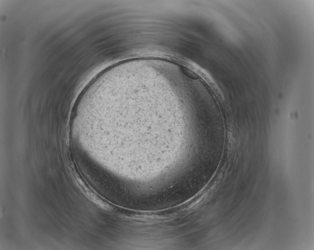 X0000085011236200703261146