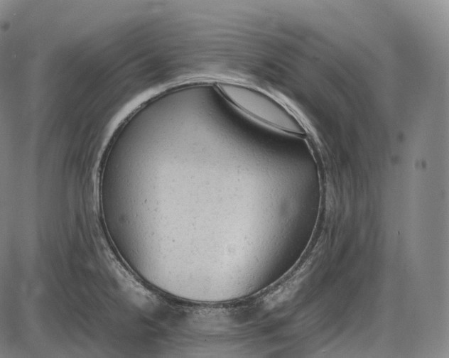 X0000085011238200703261146