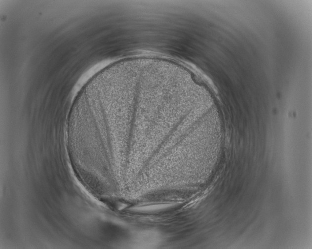 X0000085011239200703261146