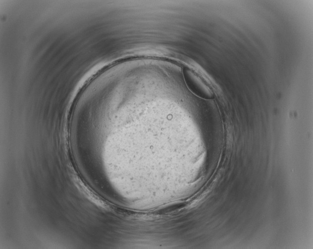 X0000085011240200703261146