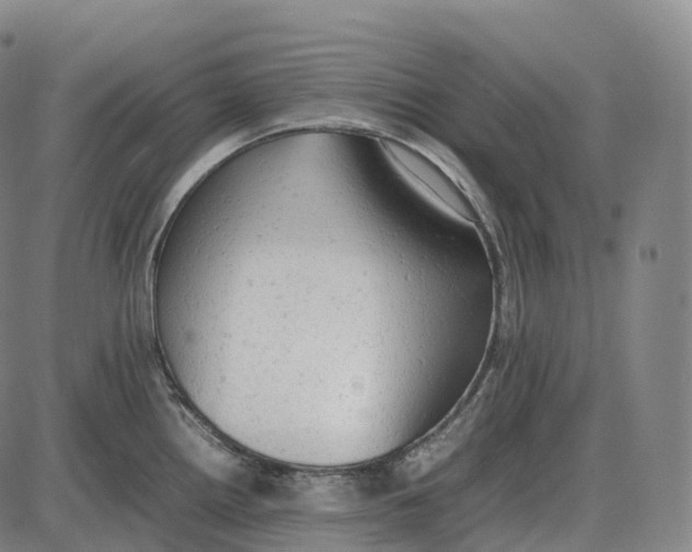 X0000085011242200703261146