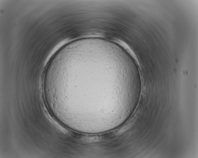 X0000085011243200703261146