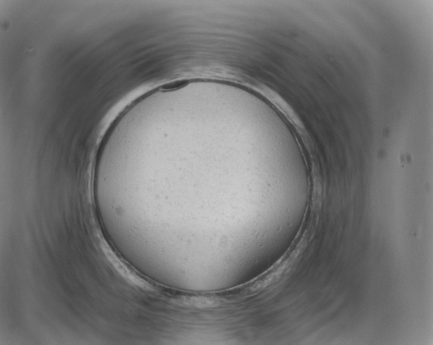 X0000085011246200703261146