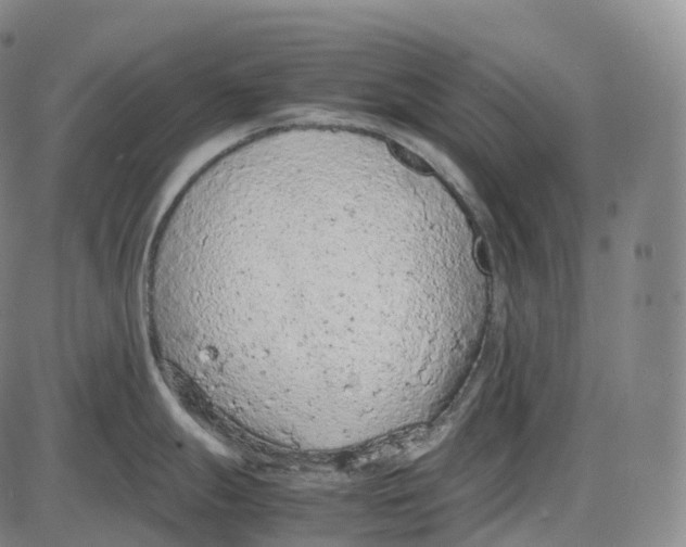 X0000085011247200703261146