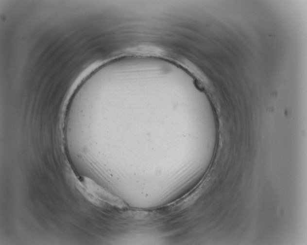 X0000085011248200703261146