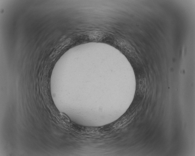 X0000085011249200703261146