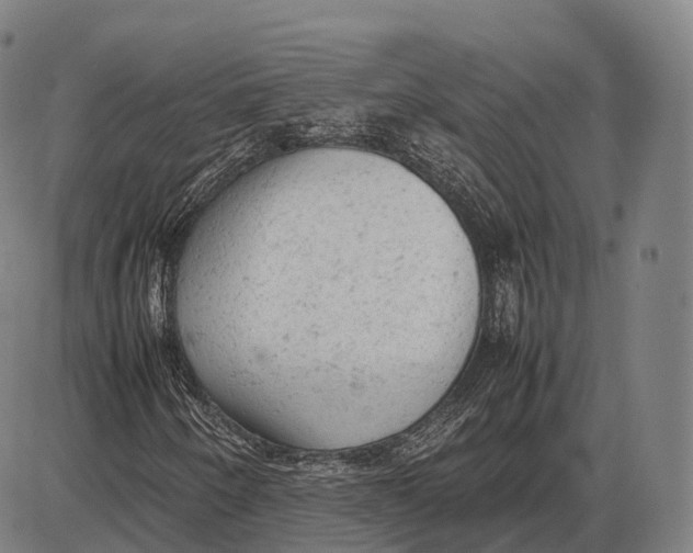 X0000085011250200703261146