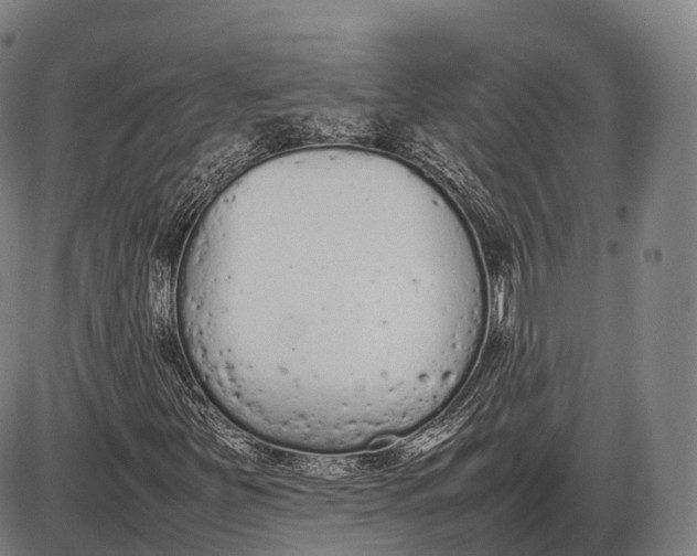 X0000085011251200703261146