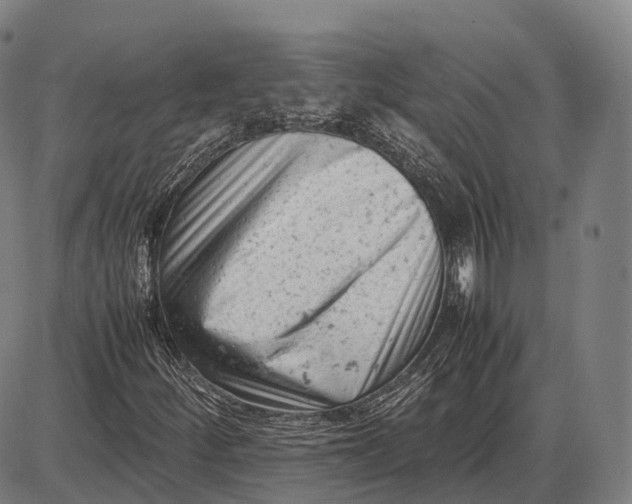 X0000085011252200703261146