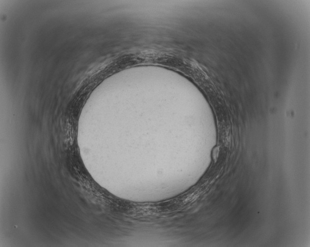 X0000085011253200703261146