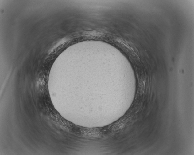 X0000085011254200703261146