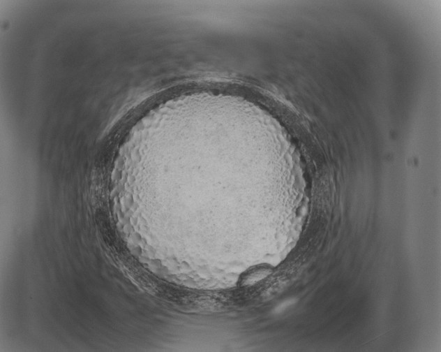 X0000085011255200703261146