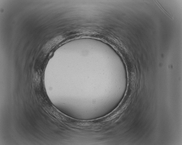 X0000085011257200703261146