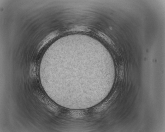 X0000085011258200703261145