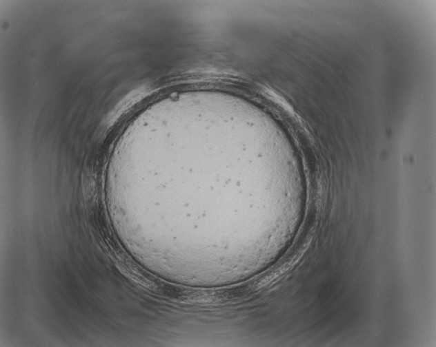 X0000085011259200703261145