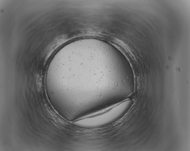 X0000085011260200703261145