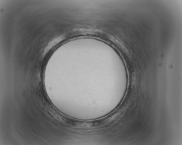 X0000085011261200703261145