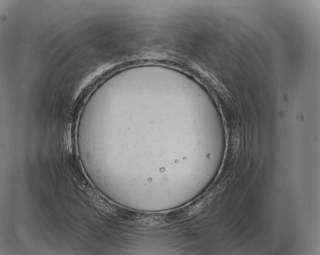 X0000085011262200703261145