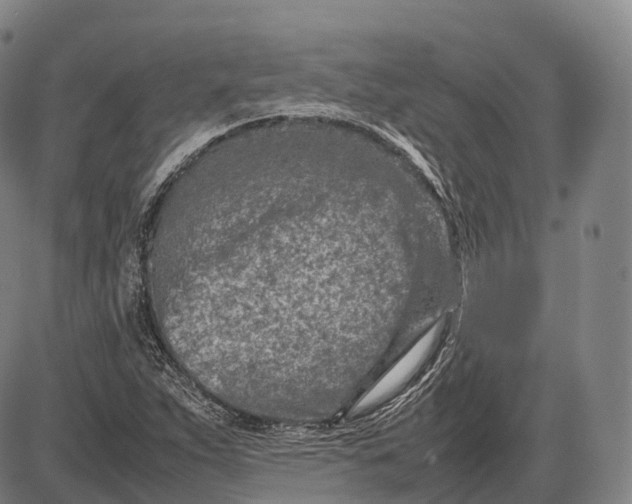 X0000085011263200703261145