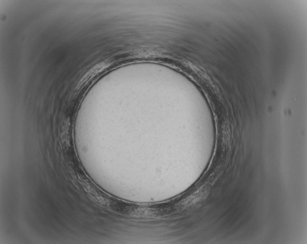 X0000085011265200703261145