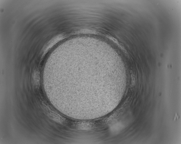 X0000085011266200703261145