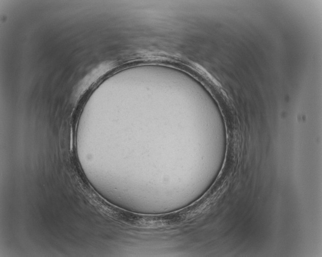 X0000085011269200703261145