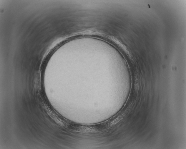 X0000085011270200703261145